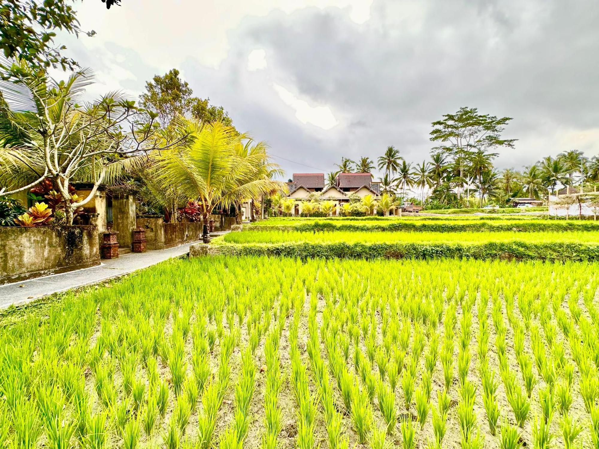 Dupa Ubud Villa Exterior foto