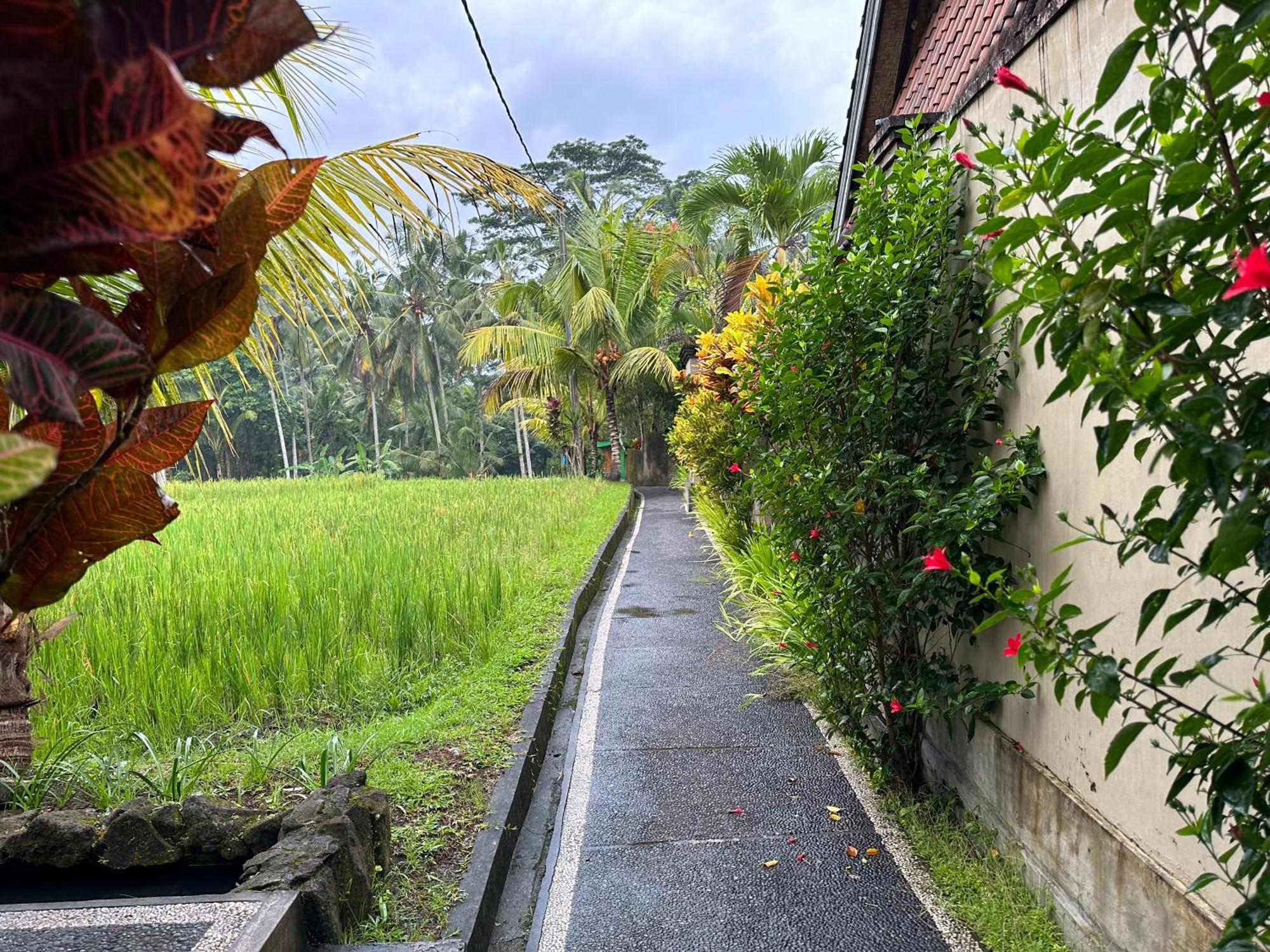Dupa Ubud Villa Exterior foto