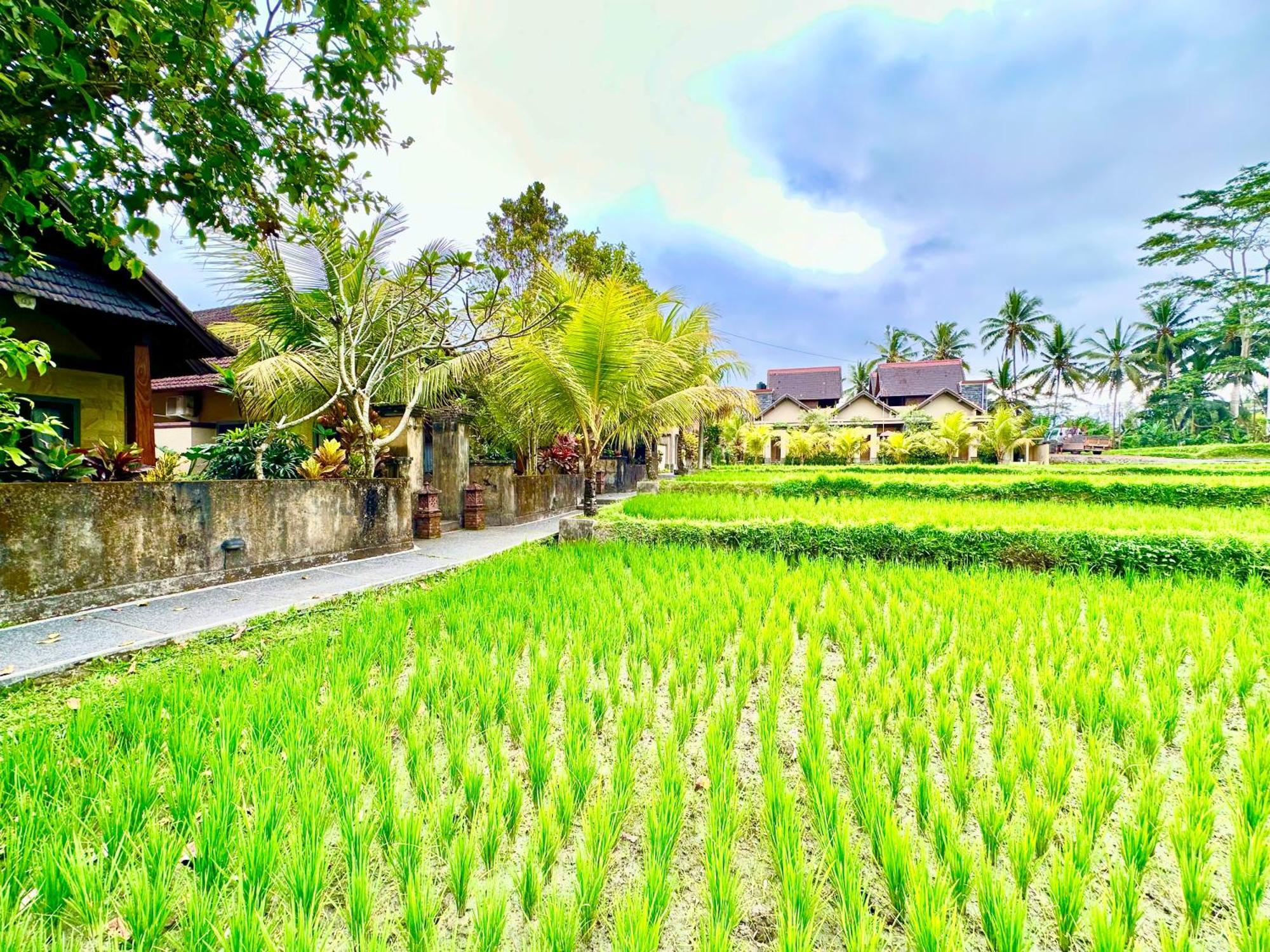 Dupa Ubud Villa Exterior foto