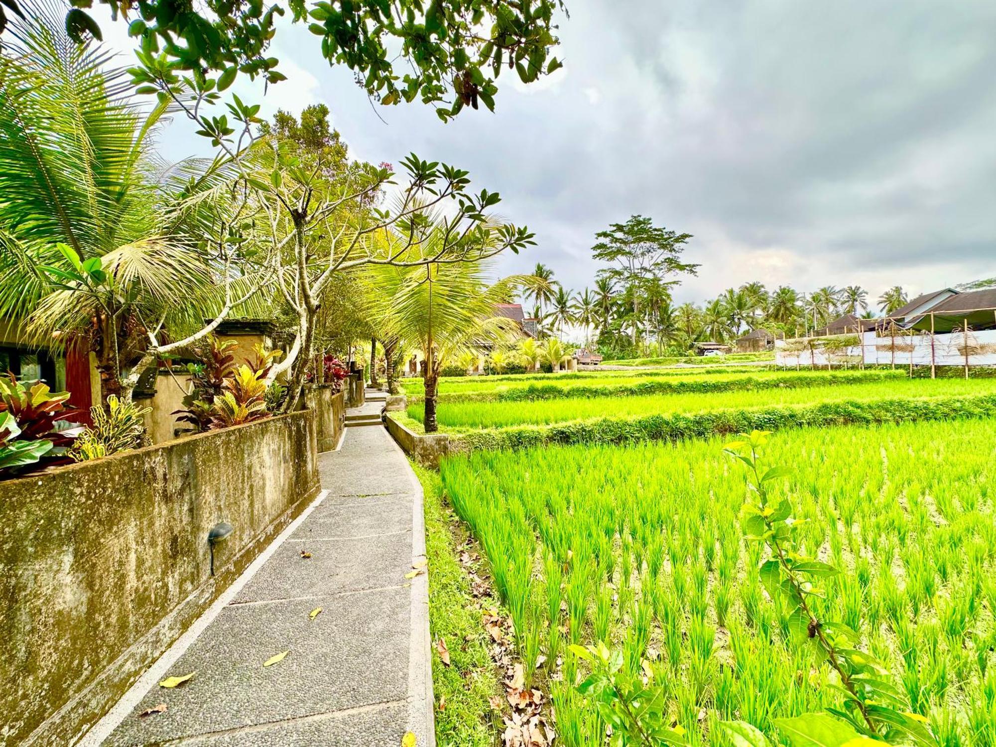 Dupa Ubud Villa Exterior foto
