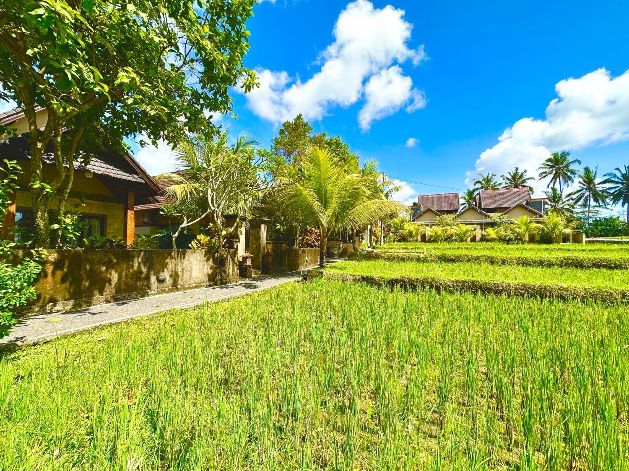 Dupa Ubud Villa Exterior foto